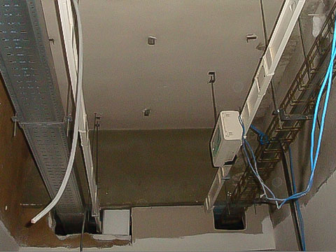 CEP5
