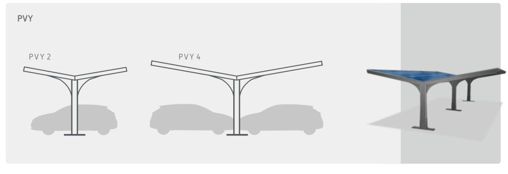 PVY